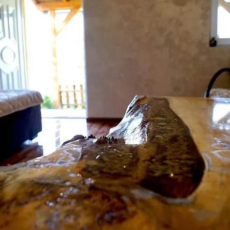 Dunavski Raj * Donji Milanovac