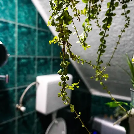 Dunavski Raj Appartement *